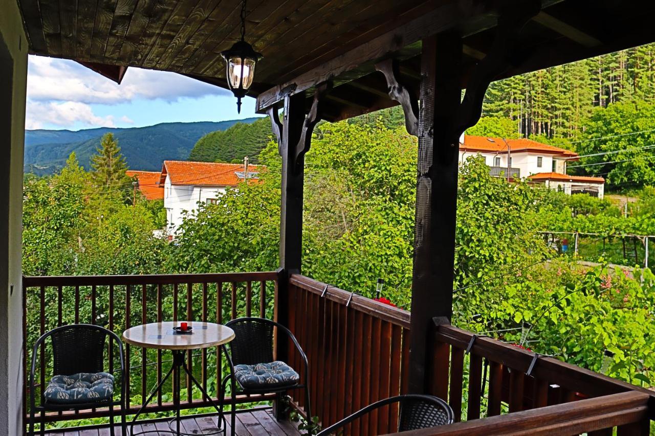 Green House - Попниколови Sapareva Banya Dış mekan fotoğraf