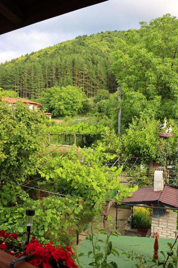 Green House - Попниколови Sapareva Banya Dış mekan fotoğraf