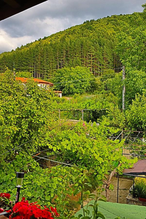 Green House - Попниколови Sapareva Banya Dış mekan fotoğraf